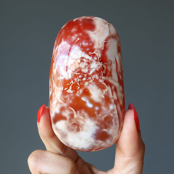 Carnelian Polished Stone Electric Attraction Big Red Palm Crystal