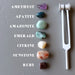 7 chakra stones and tuning fork set with amethyst, apatite, amazonite, emeral, citrine, sunstone, ruby