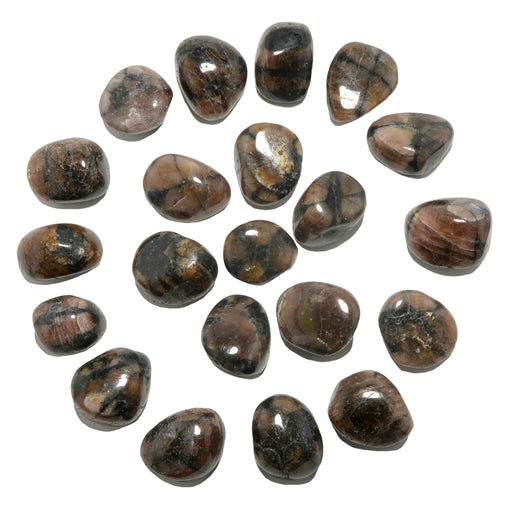 Chiastolite Tumbled Stone Set of 21