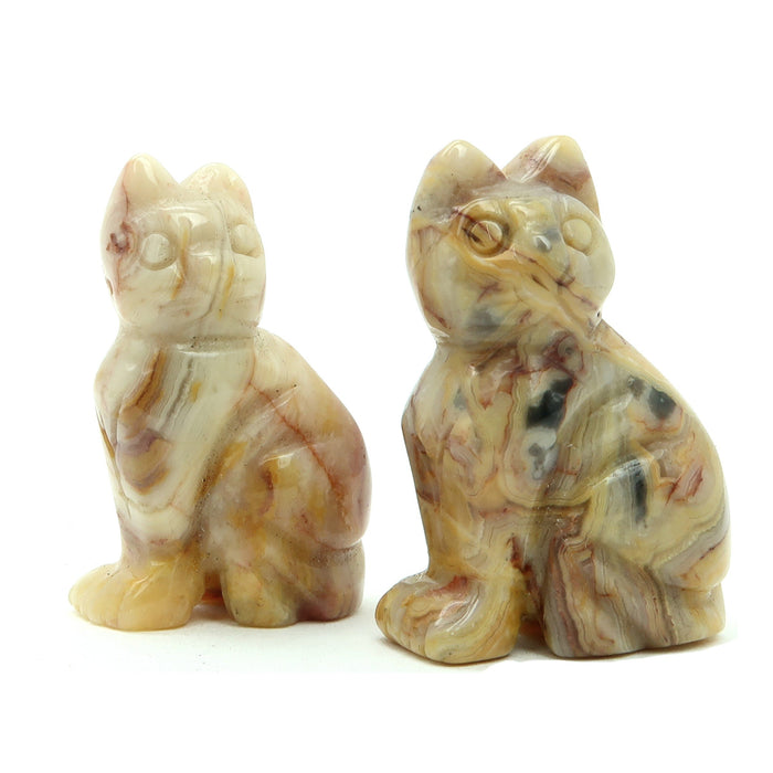two calico yellow crazy lace agate cat sitting side by side