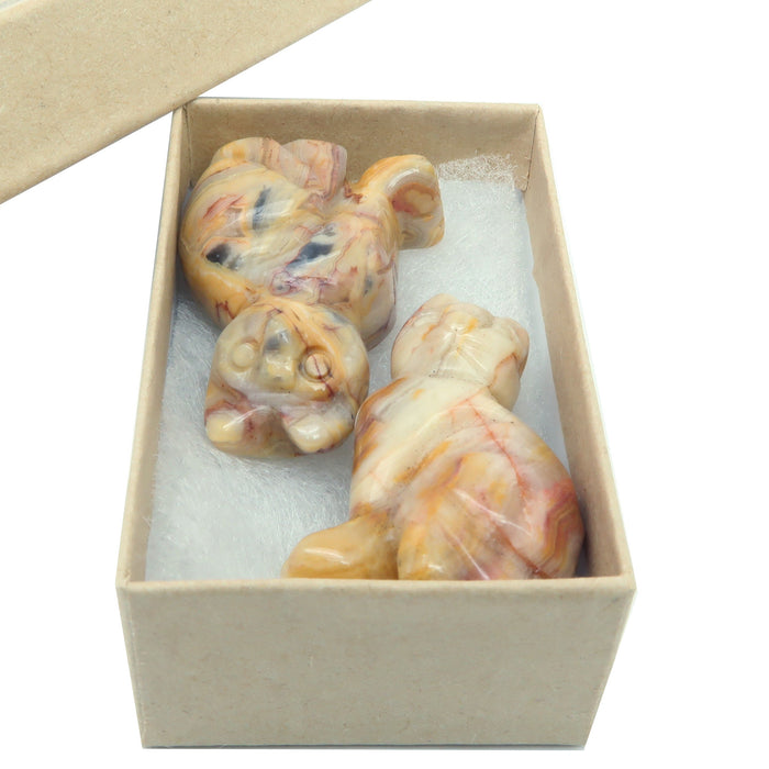 calico yellow crazy lace agate cat stone pair inside the box