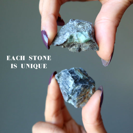 EMF Protection Stone Set (Raw)