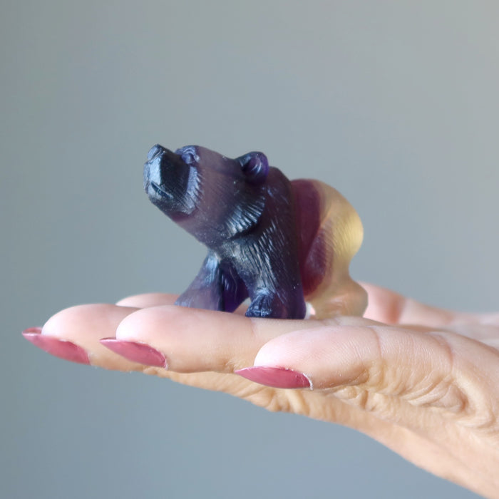  Carved Rainbow Fluorite Bear Statue on the palm