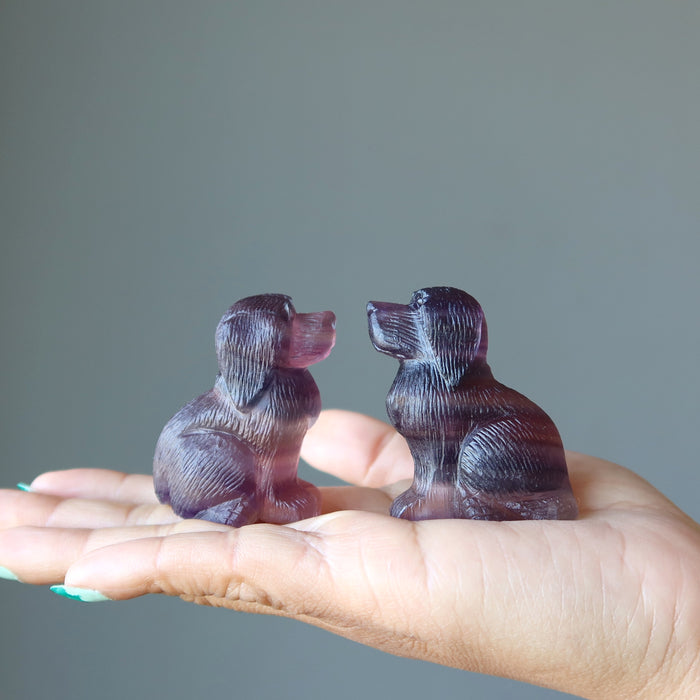 two Fluorite Dogs on the palm