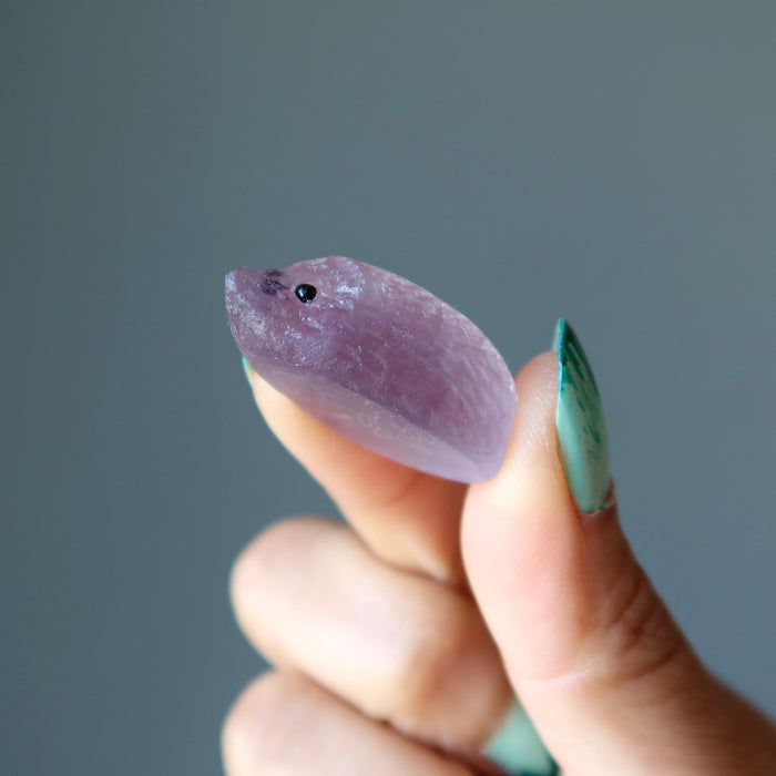 finger tips holding Rainbow Fluorite Hedgehog 