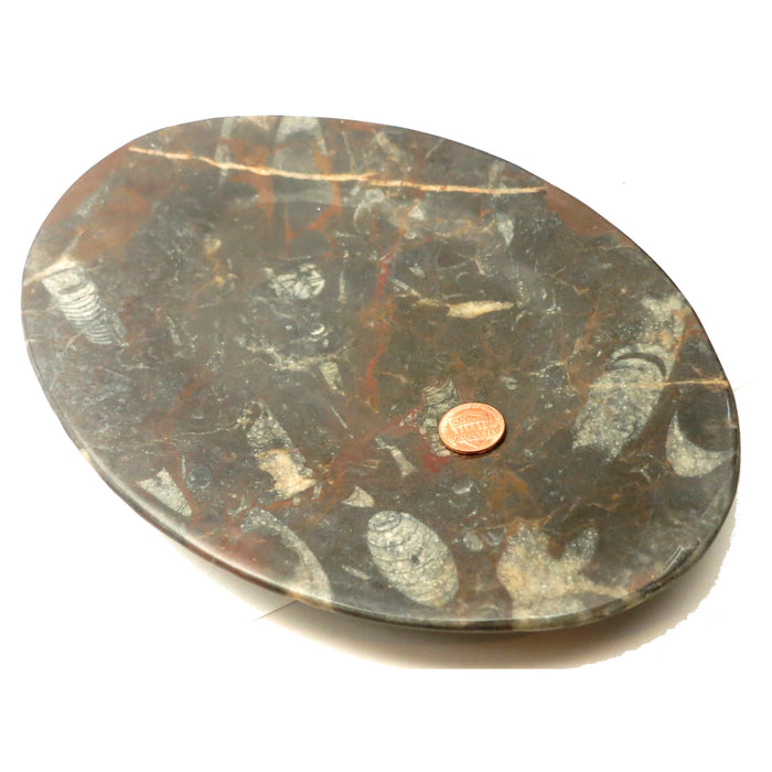 Orthoceras Fossil Dish Oval Black Stone Hostess Entertaining Platter