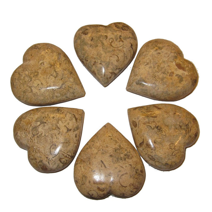 6 brown Fossil Hearts