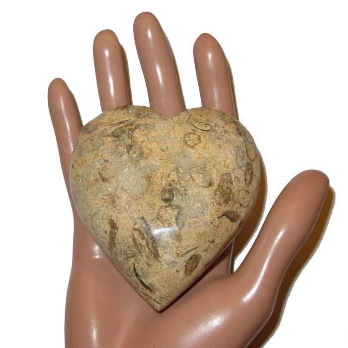 brown Fossil Heart on mannequin palm
