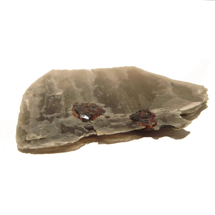 Garnet Mineral Gem Specimen in Mica Crystal on Natural Wood Stand