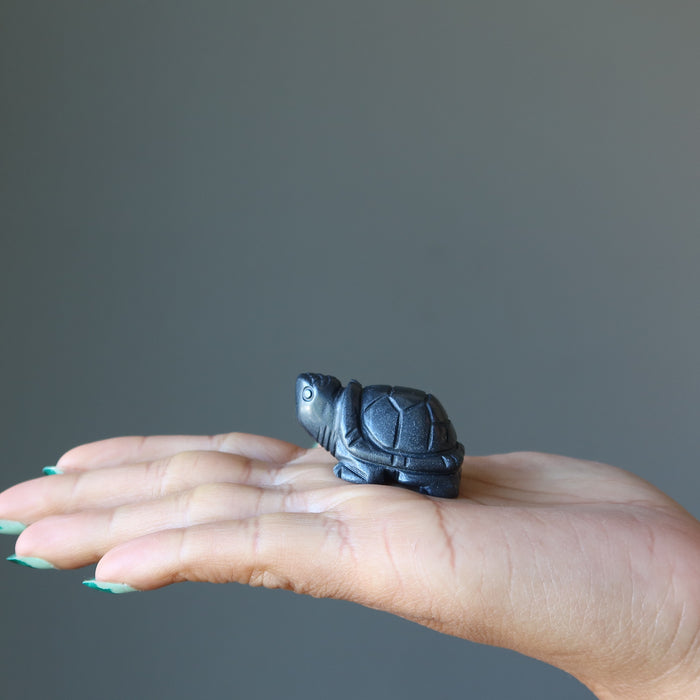 displaying Hematite Turtle on the palm