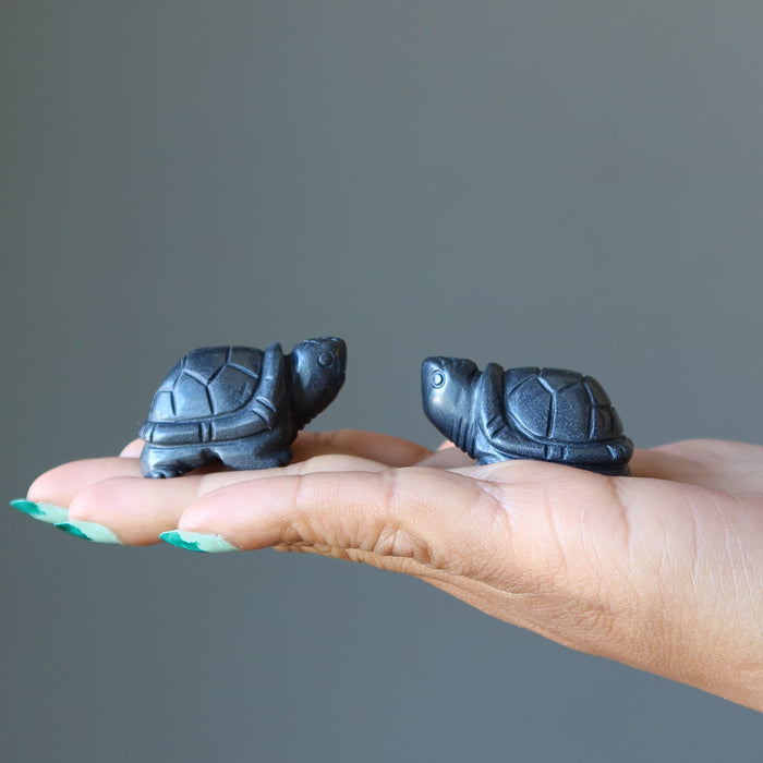 two Hematite Turtles on the palm 