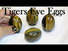 Tigers Eye Eggs video