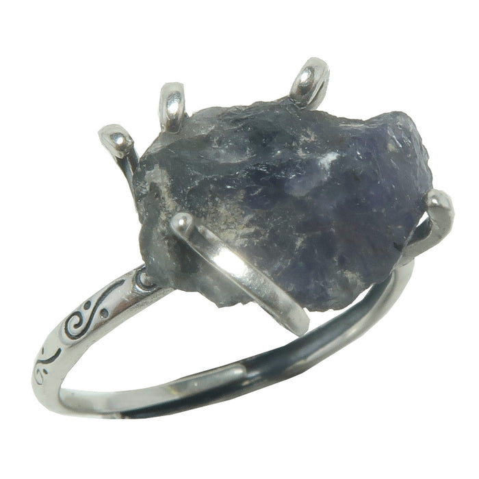 Iolite Ring I Like the Rich Life Blue Stone Sterling Silver Adjustable