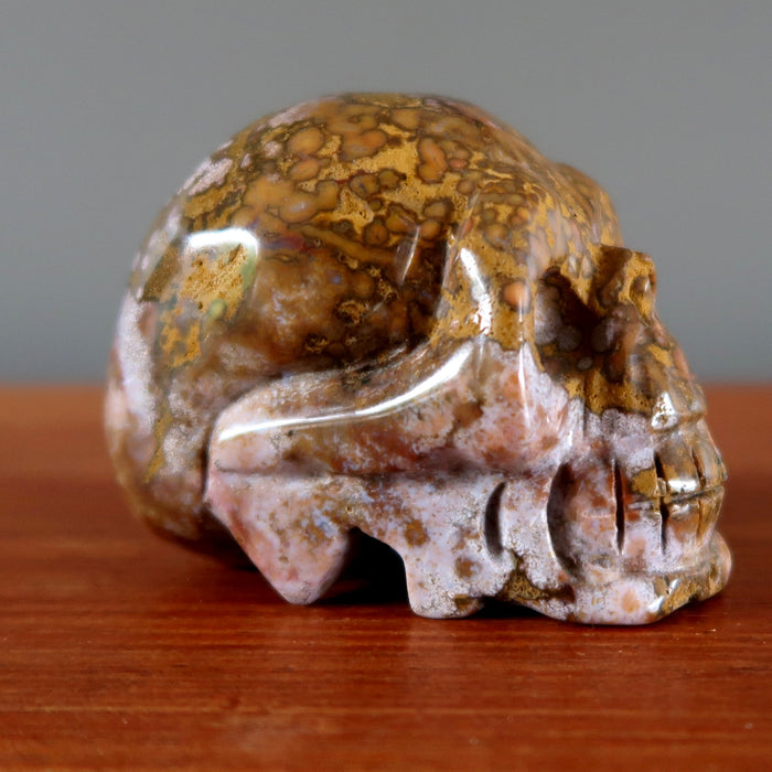 Leopard Jasper Skull Circle of Life Stone Crystal Carving