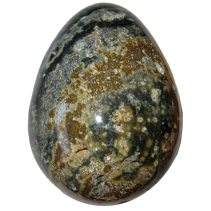 Ocean Jasper Egg Green Swamp Stress Relief Healing Stone