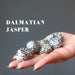 hand holding 6 dalmatian jasper tumbled stones