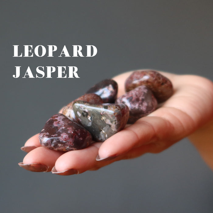 hand holding 6 leopard jasper tumbled stones
