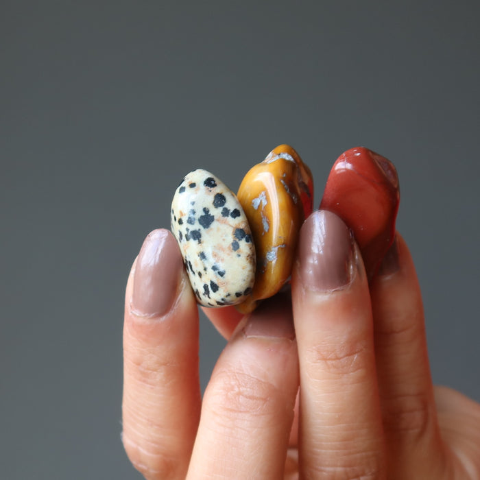 hand holding yellow, red, and dalmatian jasper tumbled stones