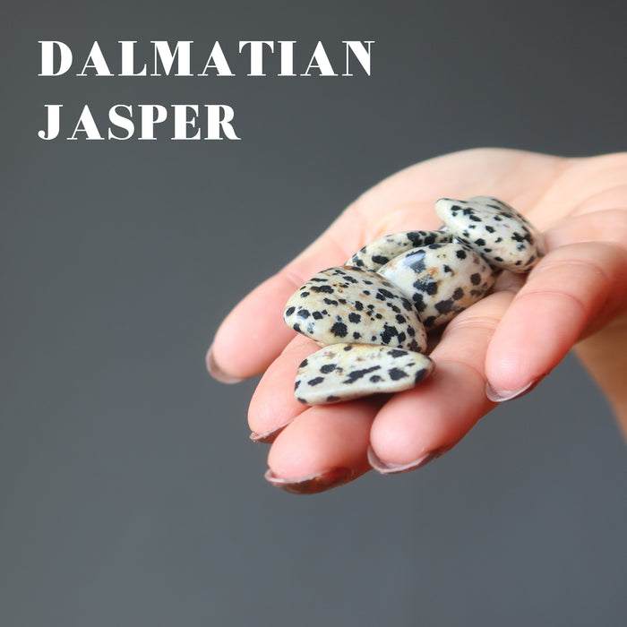 hand holding dalmatian jasper tumbled stones