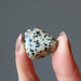 hand holding dalmatian jasper tumbled stone