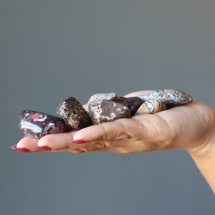 leopard jasper tumbled stones in hand