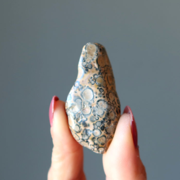 leopard jasper tumbled stone