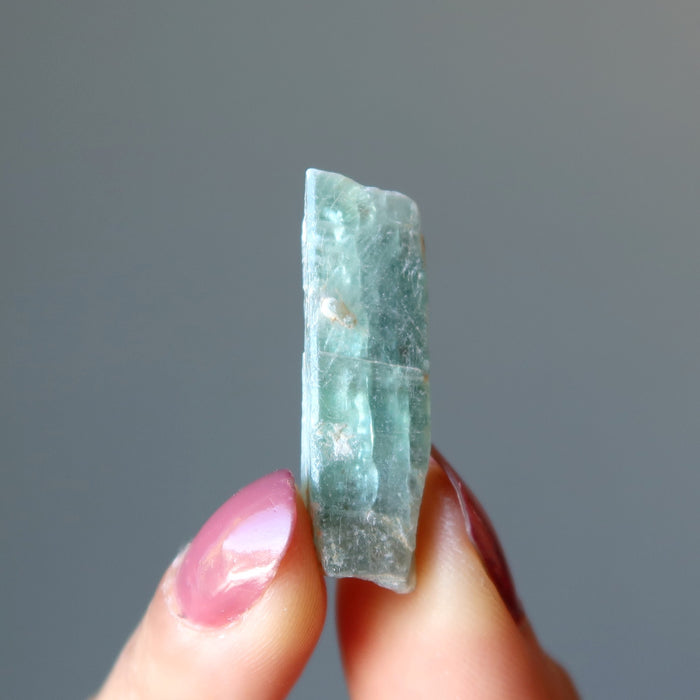 Kyanite Raw Crystal Green Goodness Healing Stone and Case