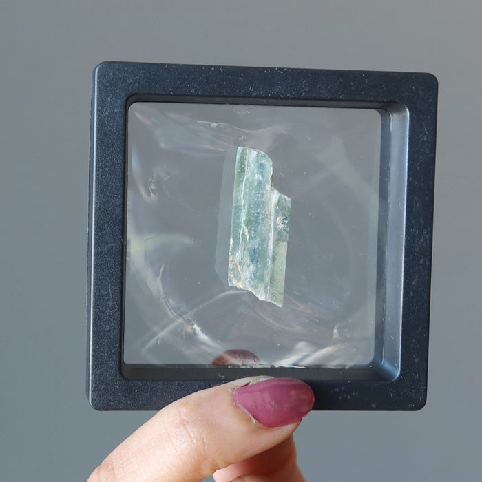 Kyanite Raw Crystal Green Goodness Healing Stone and Case