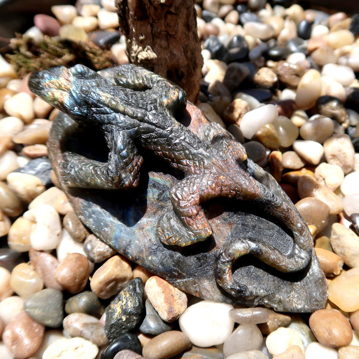 labradorite lizard carving on rocks