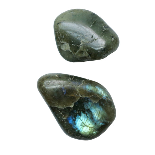 Labradorite Magnet 01 Sheen Stone Set - I Dig Crystals