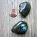 Labradorite Magnet 01 Sheen Stone Set - I Dig Crystals