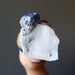 hand holding blue lazurite and gold pyrite on white calcite raw mineral