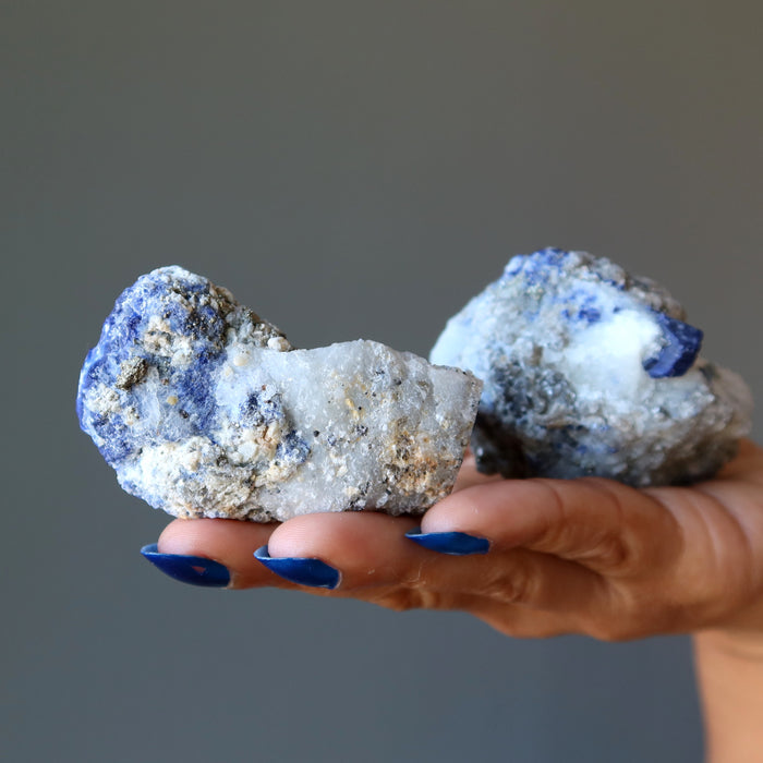 hand holding pair of blue lazurite and gold pyrite on white calcite raw minerals