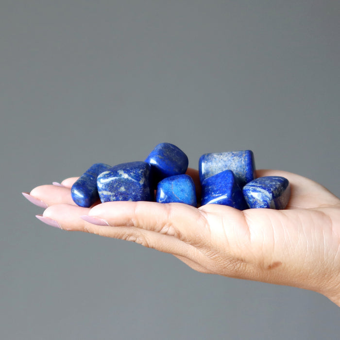 lapis lazuli tumbled stones in hand