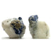 pair of blue lazurite and gold pyrite on white calcite raw minerals