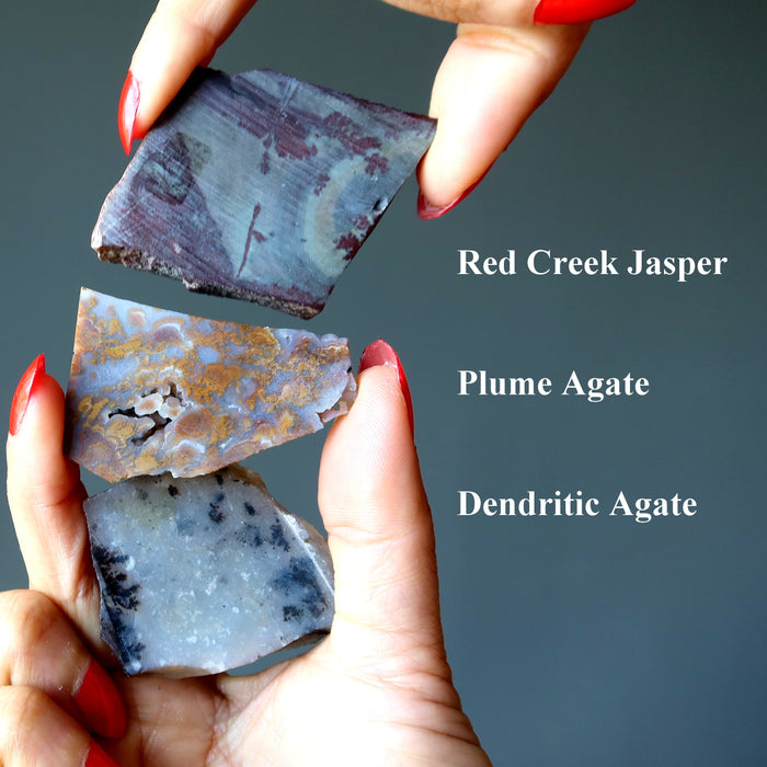 Magnet Set Safe Security Dendritic Agate Plume Jasper Trio