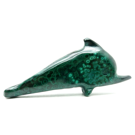 Malachite Dolphin Real Green Botryoidal Gemstone Spirit Animal