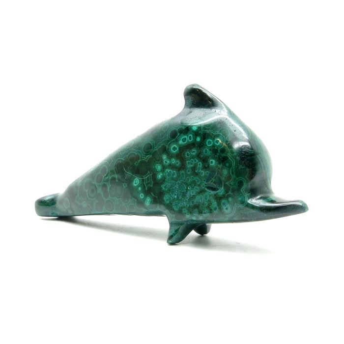 Malachite Dolphin Pretty Precious Aqua Energy Green Stone