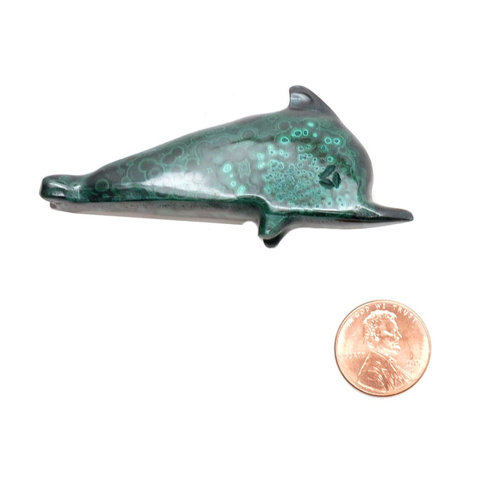 Malachite Dolphin Pretty Precious Aqua Energy Green Stone
