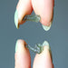 hand holding rough green moldavite gemstones