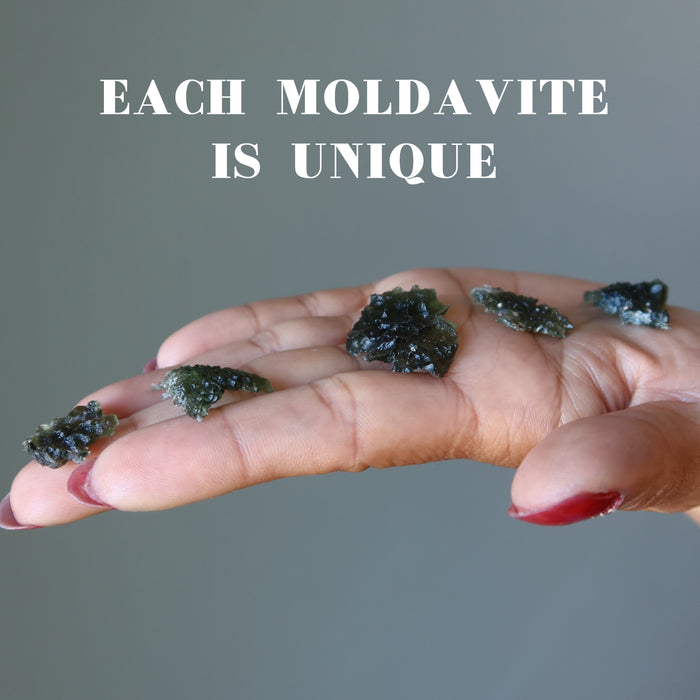 green raw moldavite hedgehog tektites on palm of hand showing each is unique