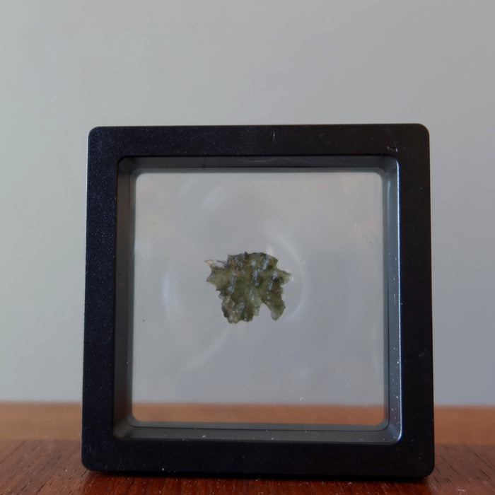 green raw moldavite hedgehog tektite in display case