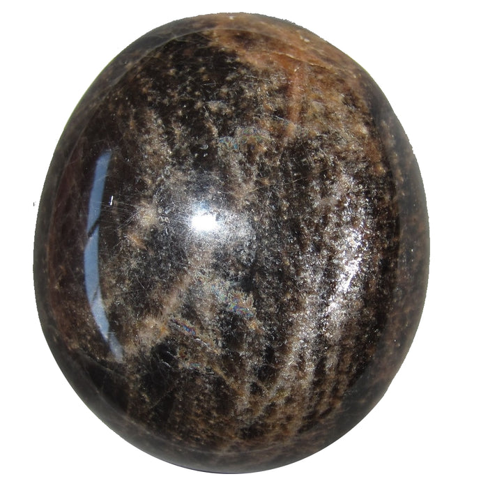 Moonstone Polished Stone Black 50 Rainbow Sheen Crystal Healing Orange Mineral Gemstone 2.3"