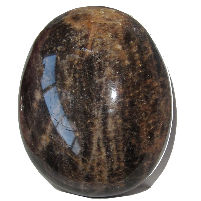 Moonstone Polished Stone Black 50 Rainbow Sheen Crystal Healing Orange Mineral Gemstone 2.3"