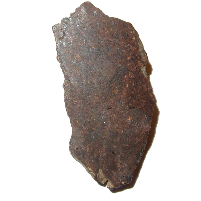 NWA L Chondrite Meteorite Manifestation Asteroid Belt Rock