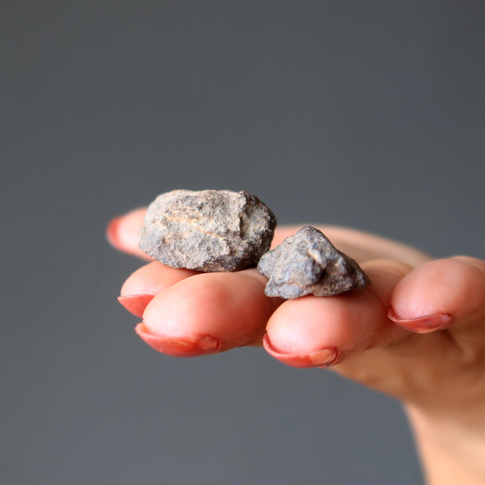 hand holding pair of nwa meteorites