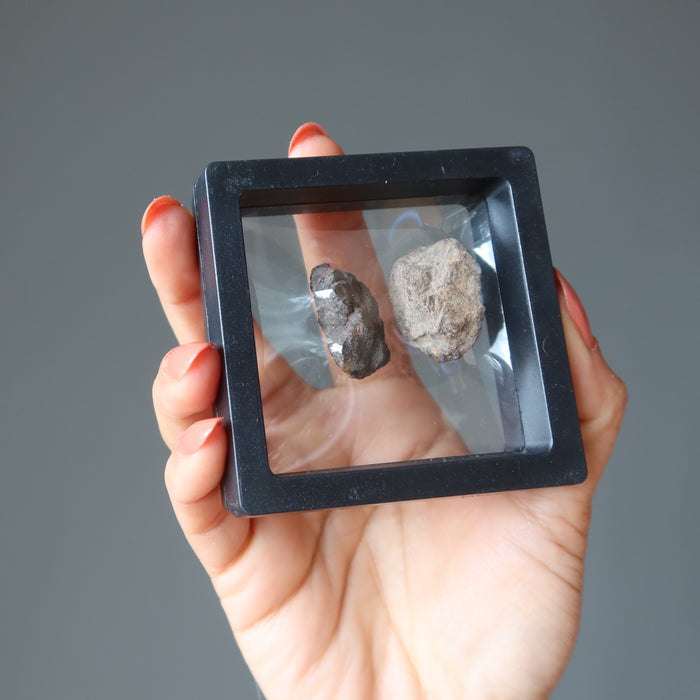 two brown rocky nwa meteorite rocks in zero gravity case
