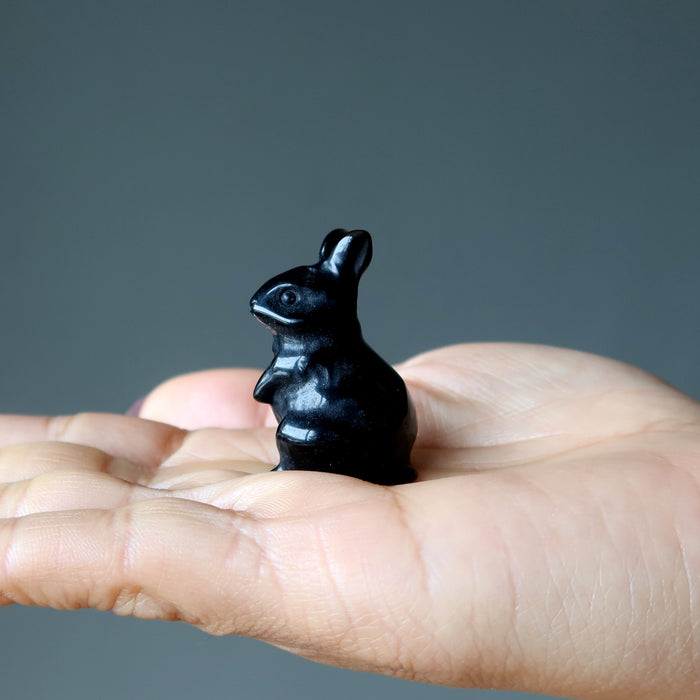 Black Obsidian Rabbit Adorable Protector Bunny Stone