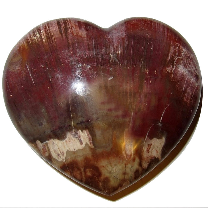 Petrified Wood Heart Heal Get Real Love Red Crystal Stone