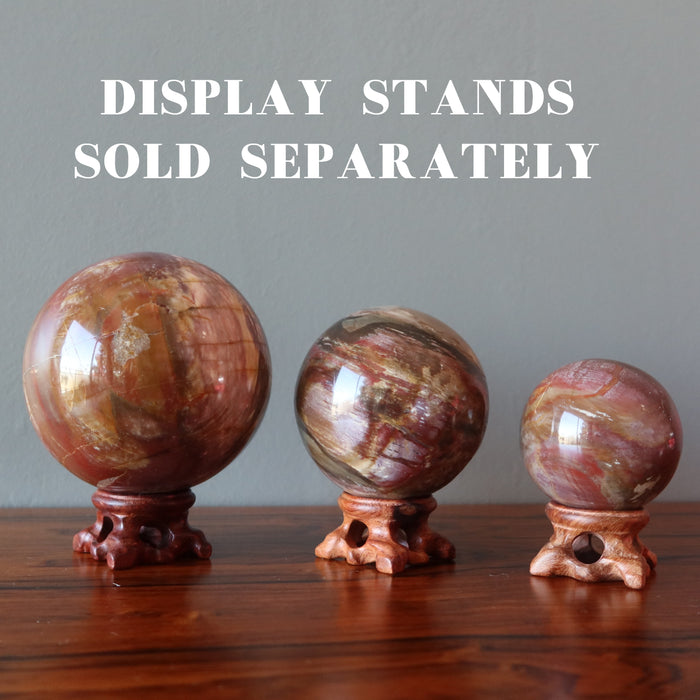 three petrified wood spheres on fancy wood display stands